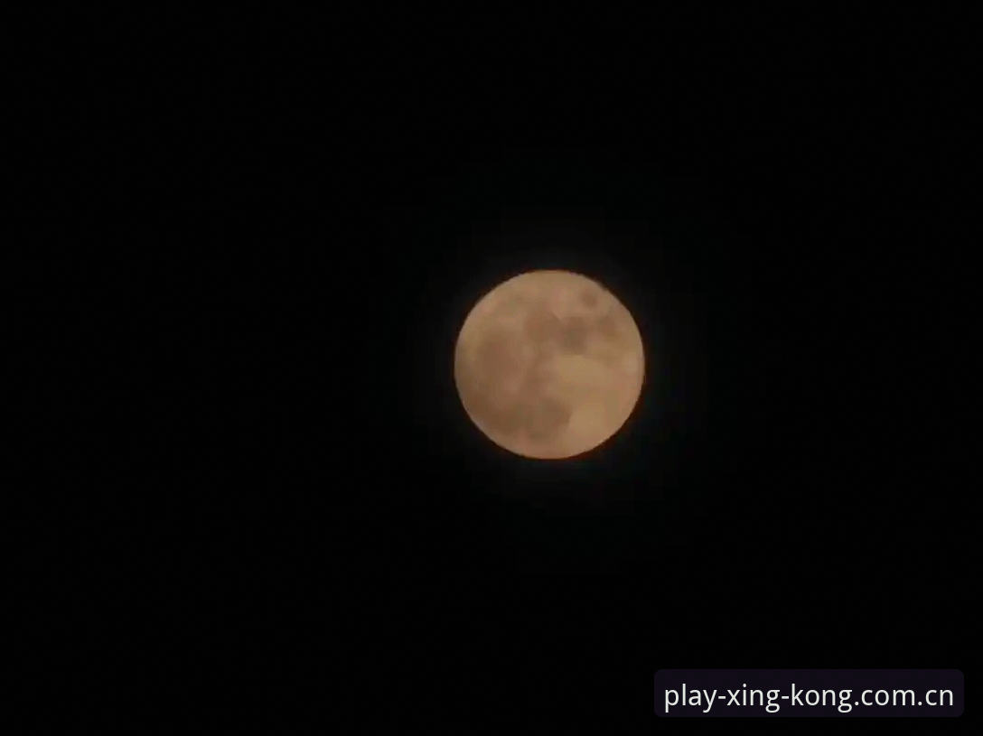 用户王哥亲测分享：星空安卓版v3.0.0使用心得与深度体验